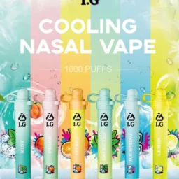 I.G 夏威夷1000口 鼻通 鼻吸薄荷棒 6款清新香氣 涼感提神 隨身舒暢必備 台灣現貨秒發